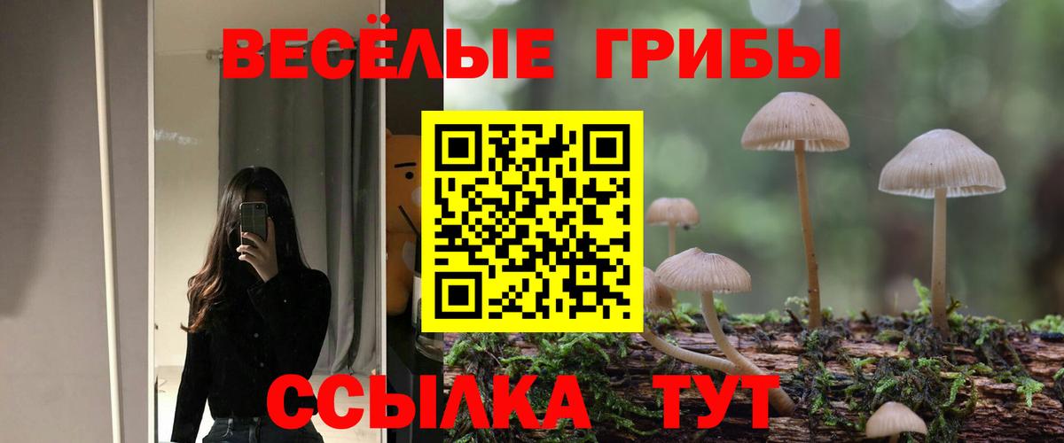 Новосибирск  Псилоцибиновые грибы мухоморы  Вход с VPN 